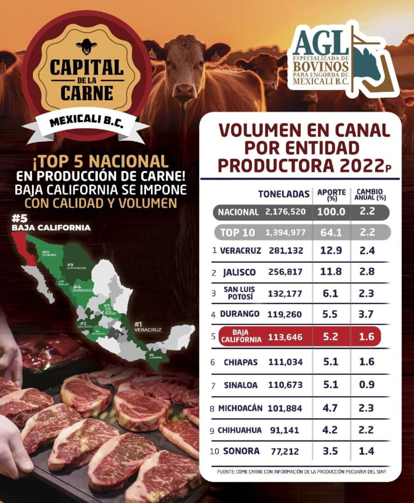 thumbnail of BC – TOP 5 Nacional – Productos de Carne